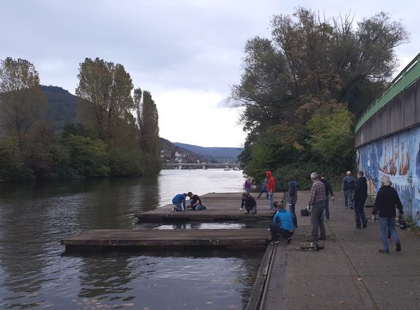 Viele helfende Hände.